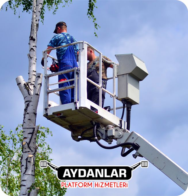 Aydanlar Platform, Lüleburgaz Sepetli Vinç Kiralama